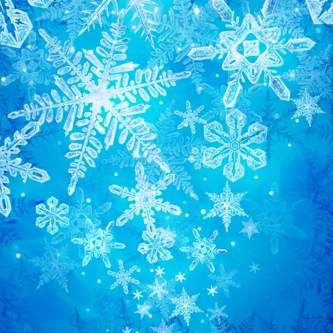 Snowflakes Winter Wonderland Christmas Frosted Window Pane